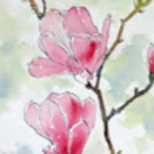 Meet your Posher, Camryn